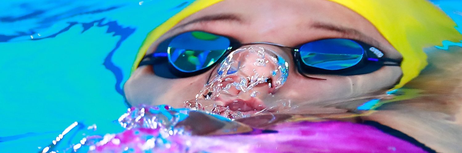 _ceciliaraujo's profile banner image