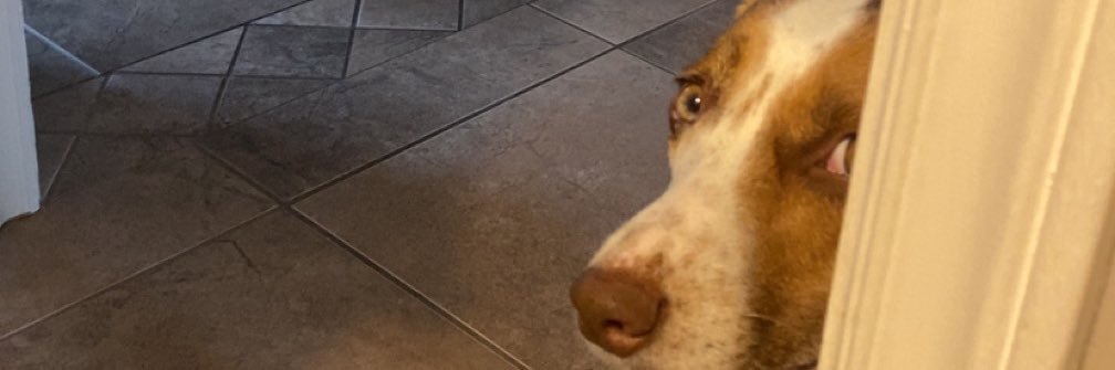 cully_33's profile banner image