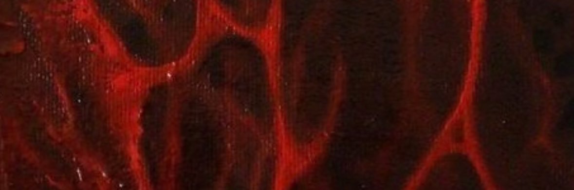 lustfulldead's profile banner image
