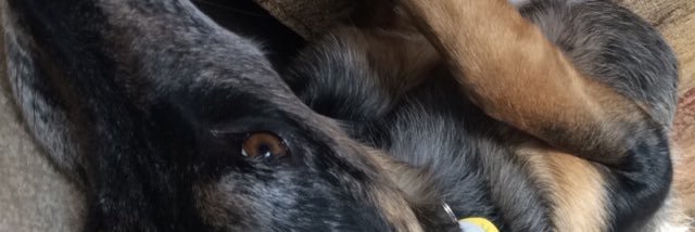 JKushan's profile banner image