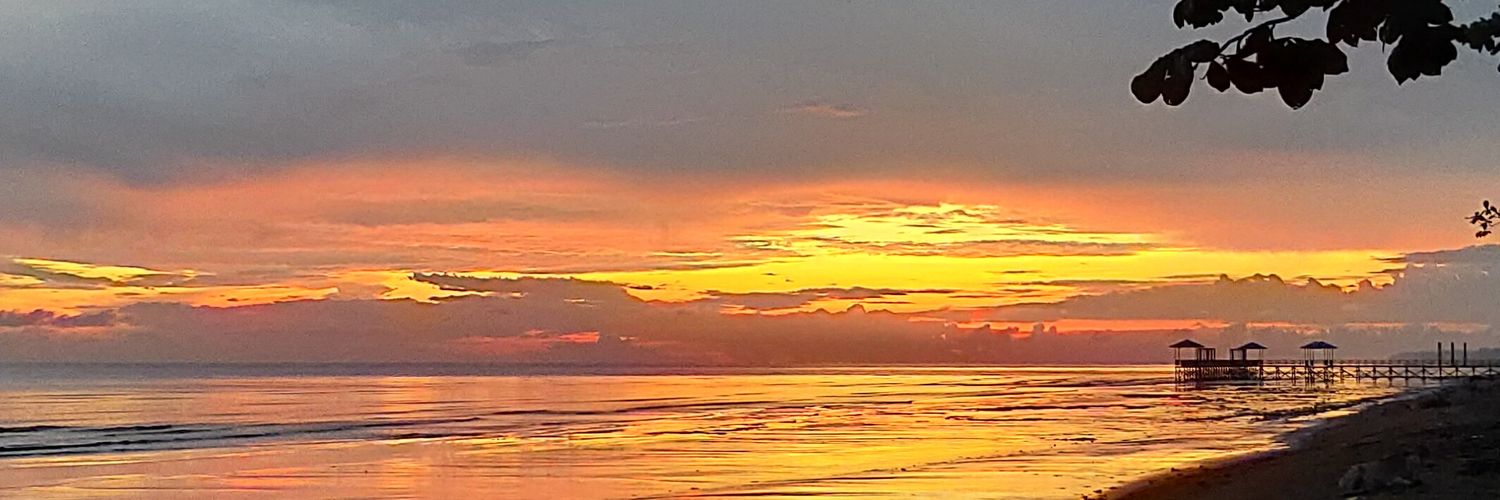 sltnnzms27's profile banner image