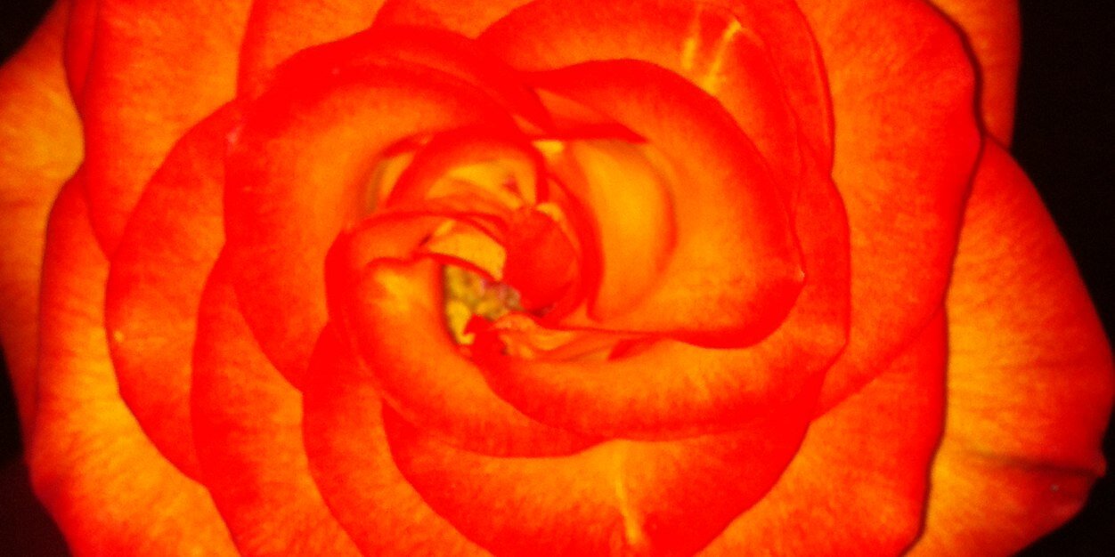 MeggerSchon's profile banner image