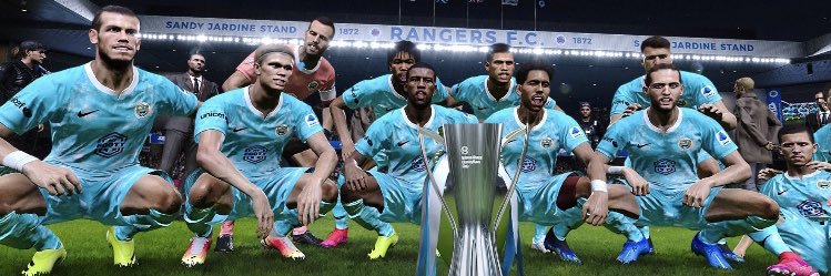 Samir Handanović banner