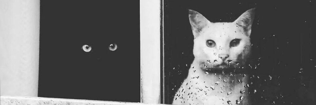 nesliyanbenim's profile banner image