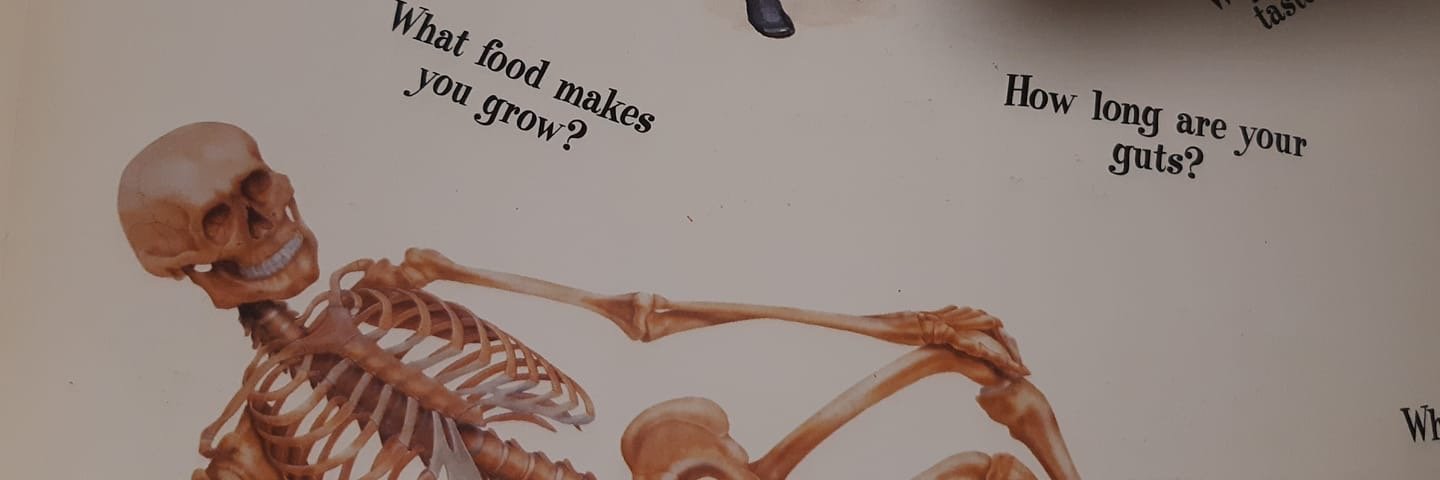 FrellenC's profile banner image
