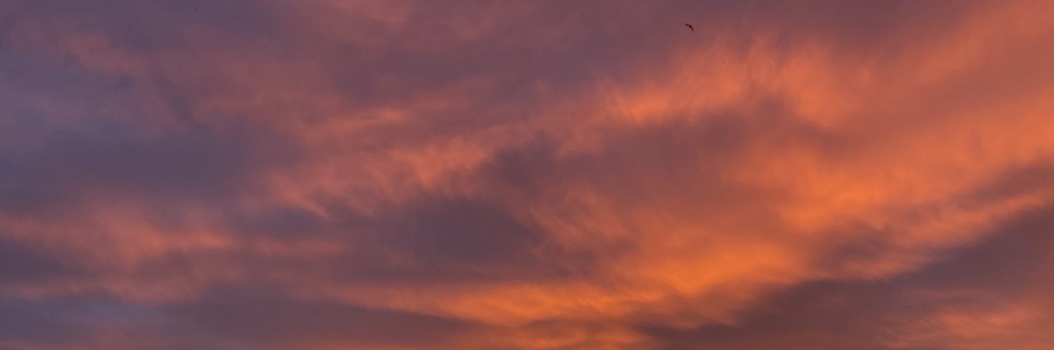 Albaa155's profile banner image