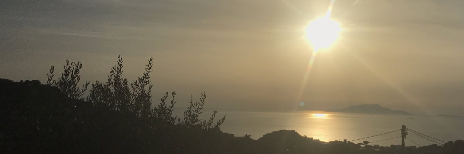 Prof Sheena Cruickshank (she/her) banner