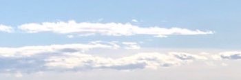 はむた banner