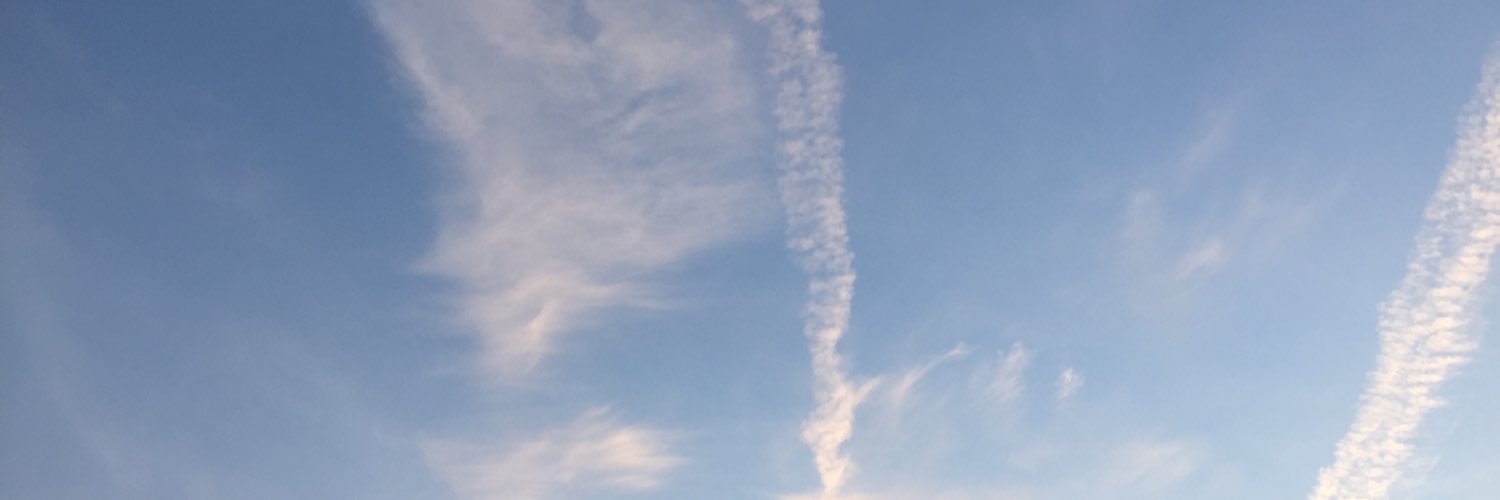 Erellker's profile banner image