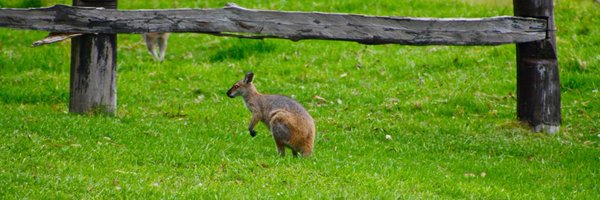 RashmiKamod Profile Banner