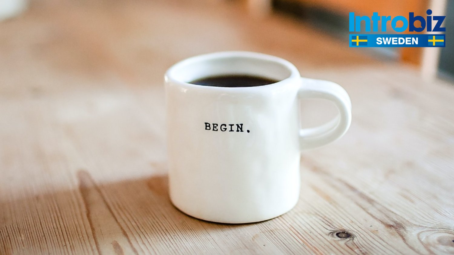 Introbiz Sweden banner