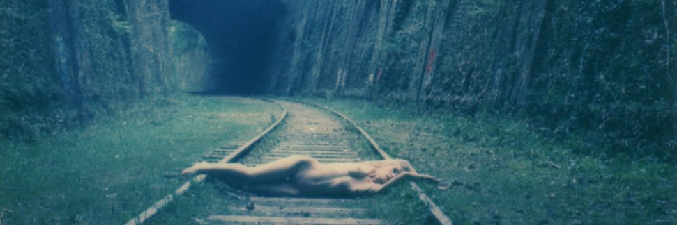 Shelbie Dimond banner