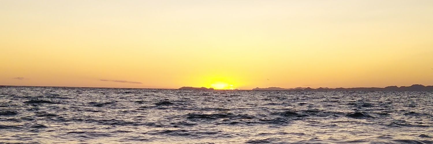 eeleiesea's profile banner image