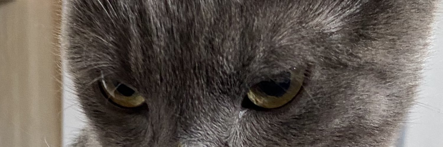 levmontmg's profile banner image
