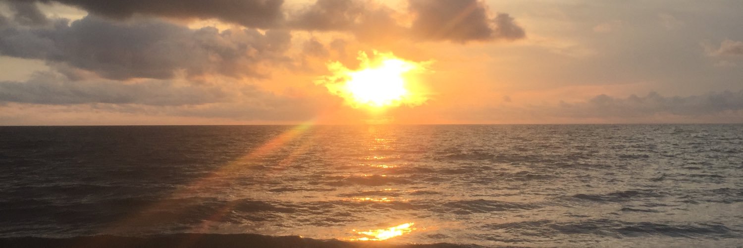 Gomeznelalex's profile banner image