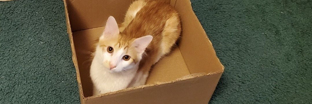 jamie banner