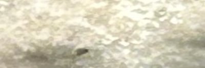 wuri banner