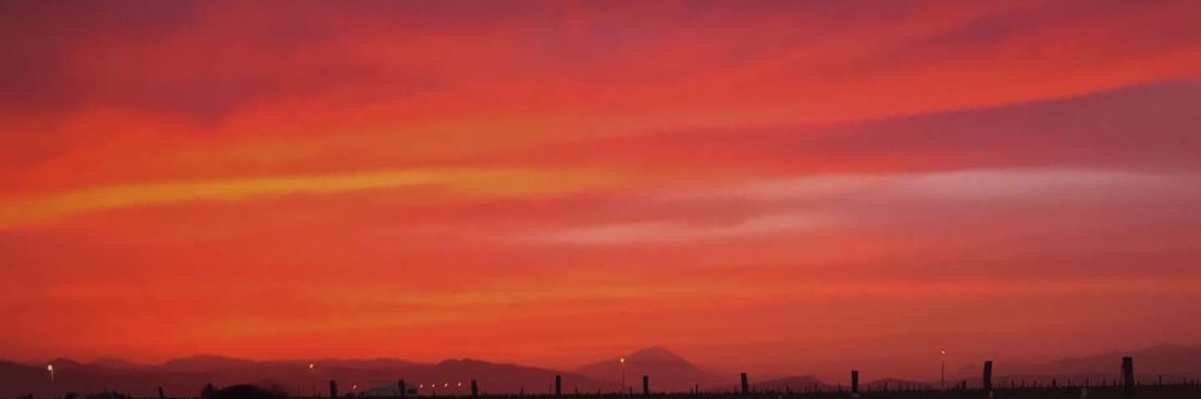 Ljjackie1's profile banner image