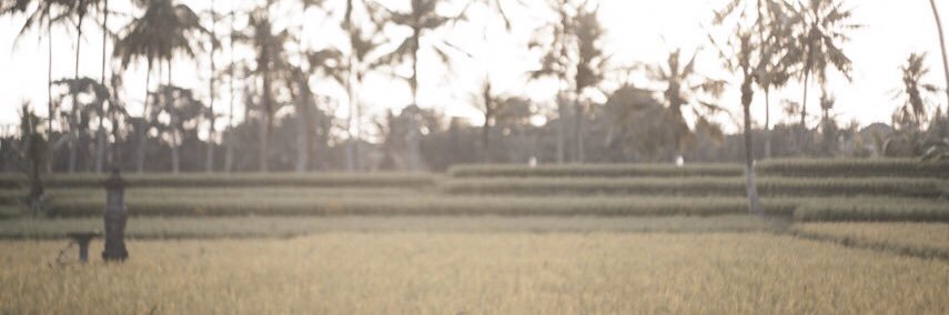 ShidqiRMDN's profile banner image