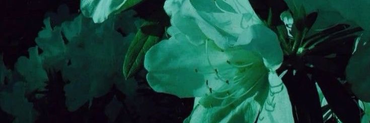 🌊expensive (Celysti, to some)🌊 banner