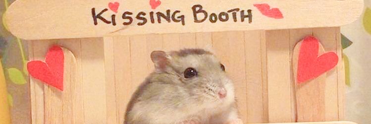 lali banner