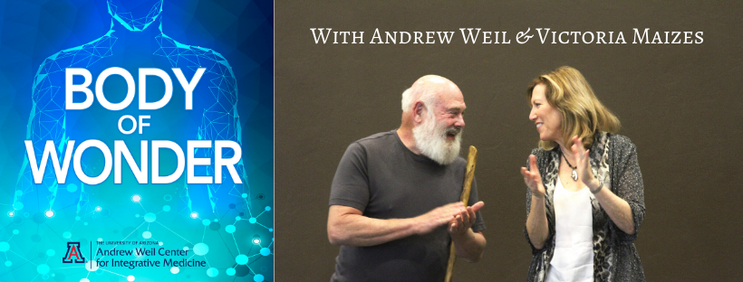 Body of Wonder banner