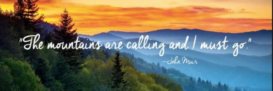 Teresa Hargis banner