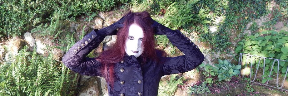 Hexenstaub's profile banner image
