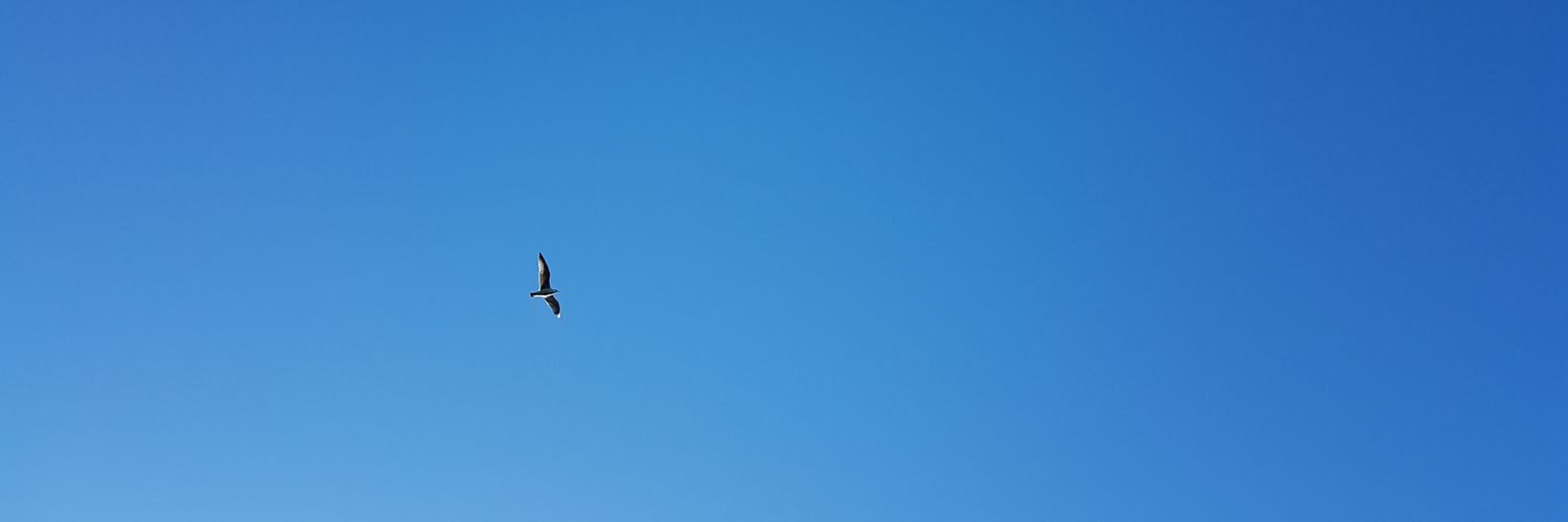 mdmefrigidaire's profile banner image