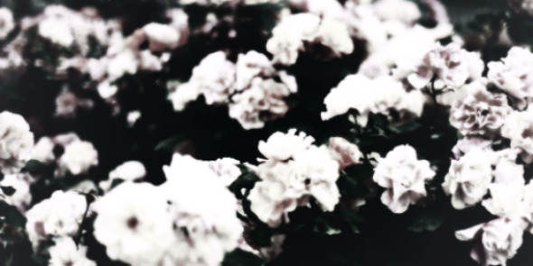 ax_hazz's profile banner image