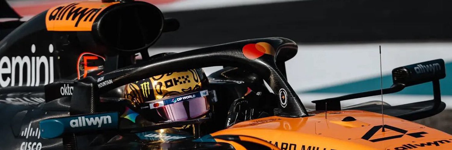 rizosdecielo's profile banner image