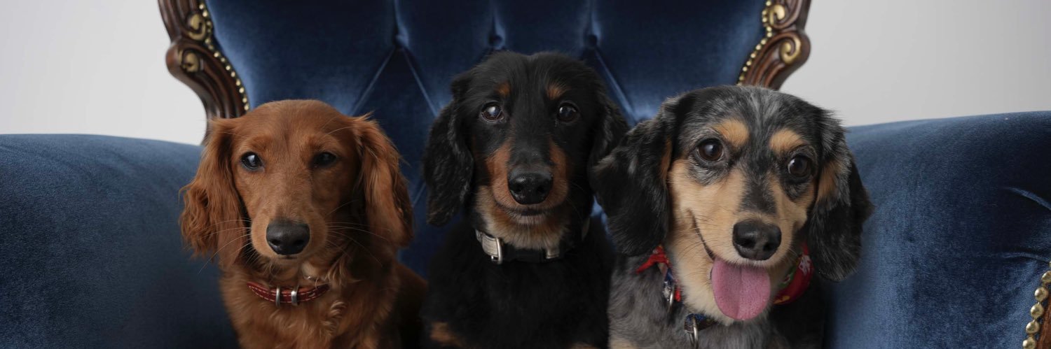 willmask's profile banner image