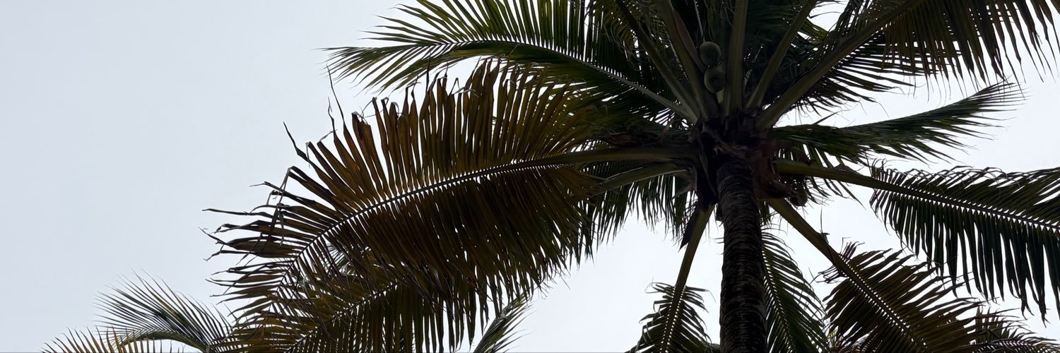 alexisjohnsonnm's profile banner image
