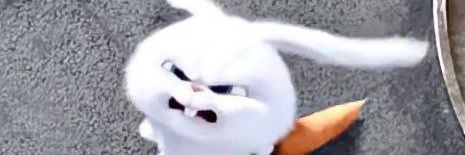 bolanasii's profile banner image