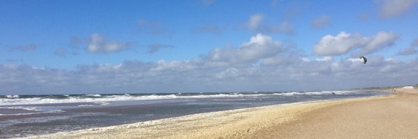 Cindy_R Profile Banner