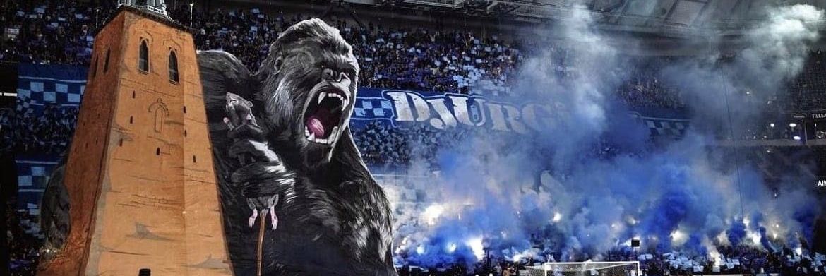 krillekanyo's profile banner image