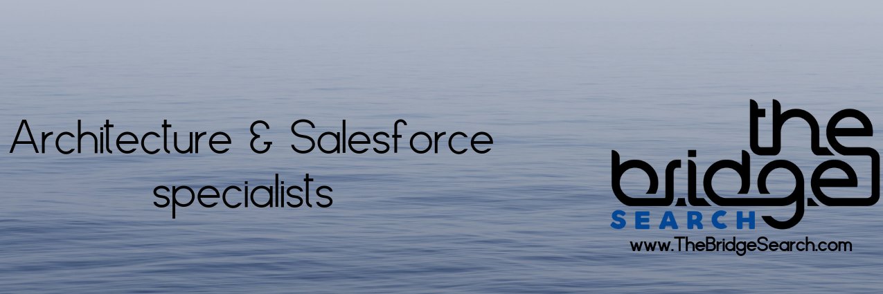 The Bridge Search banner