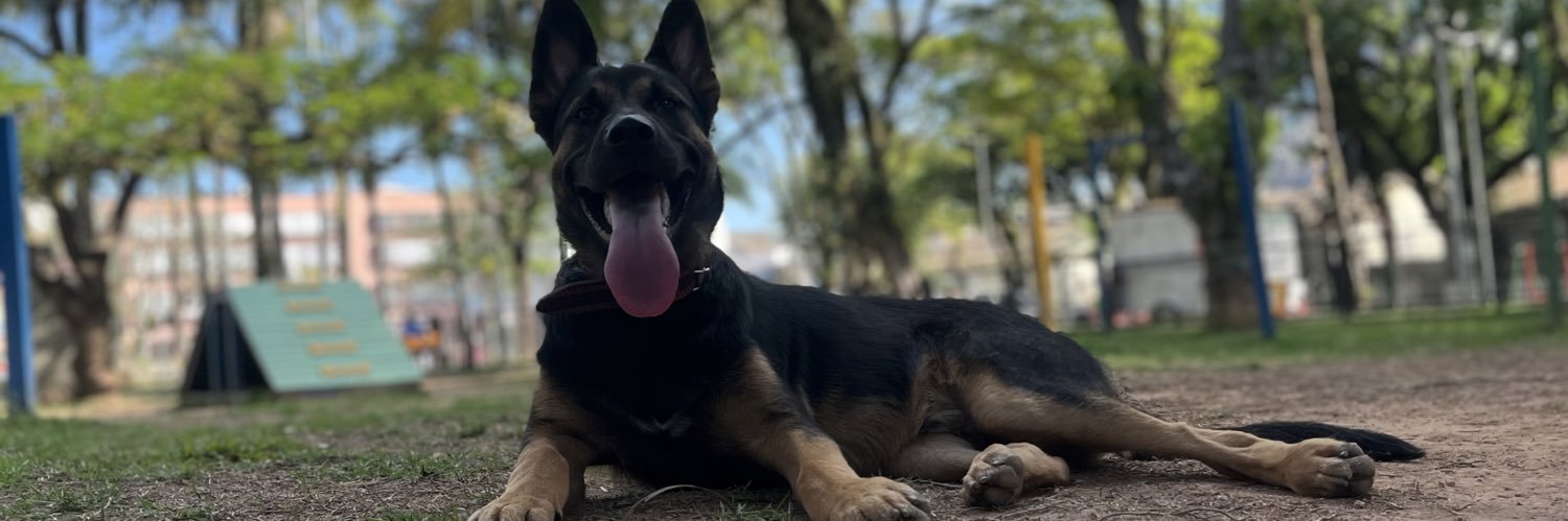 laisferrazz's profile banner image