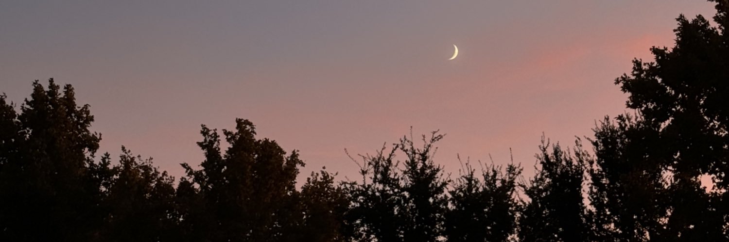 juniorelites's profile banner image