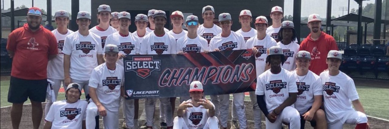 Southeast Sox Baseball banner