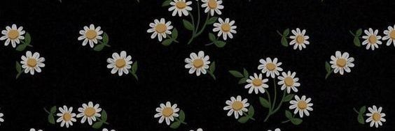 Amber_txc's profile banner image