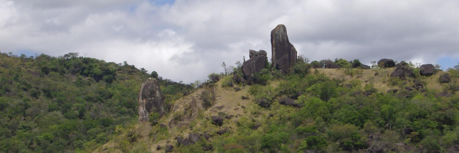 Reinaldo Imbrozio banner
