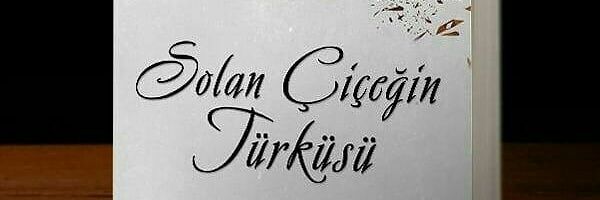 Ozayduzel's profile banner image