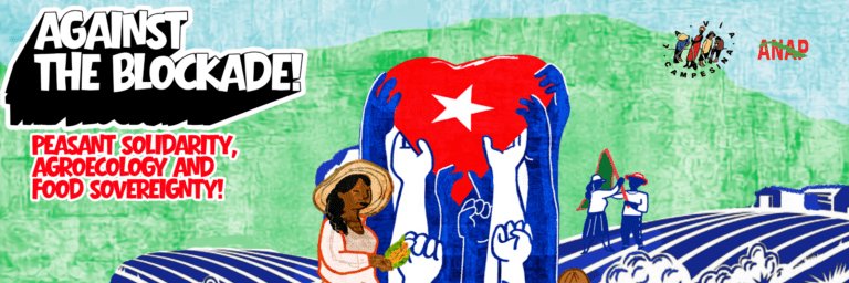 via_campesina's profile banner image