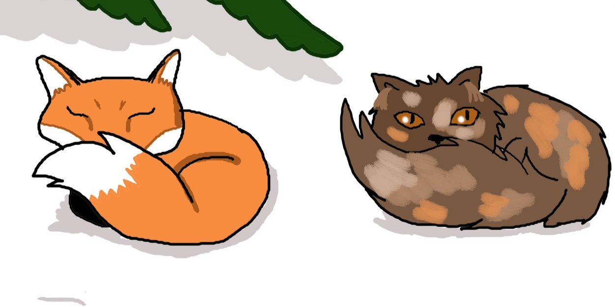 Slutswool's profile banner image