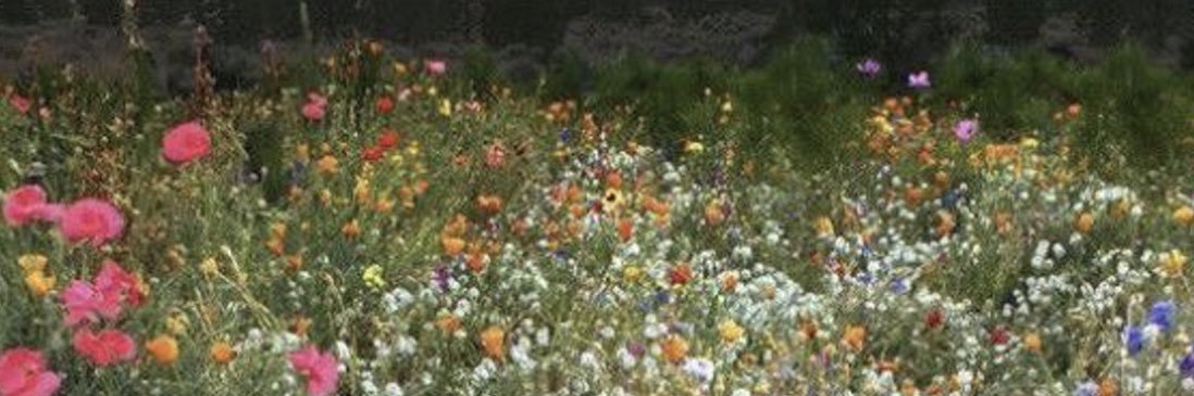 artisticgl_itch's profile banner image