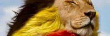 🇧🇪pretfles🏳️‍🌈 banner