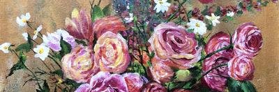 MaryEliRose's profile banner image