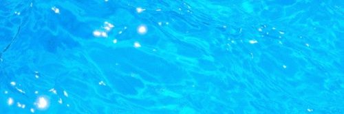 blueroses424's profile banner image