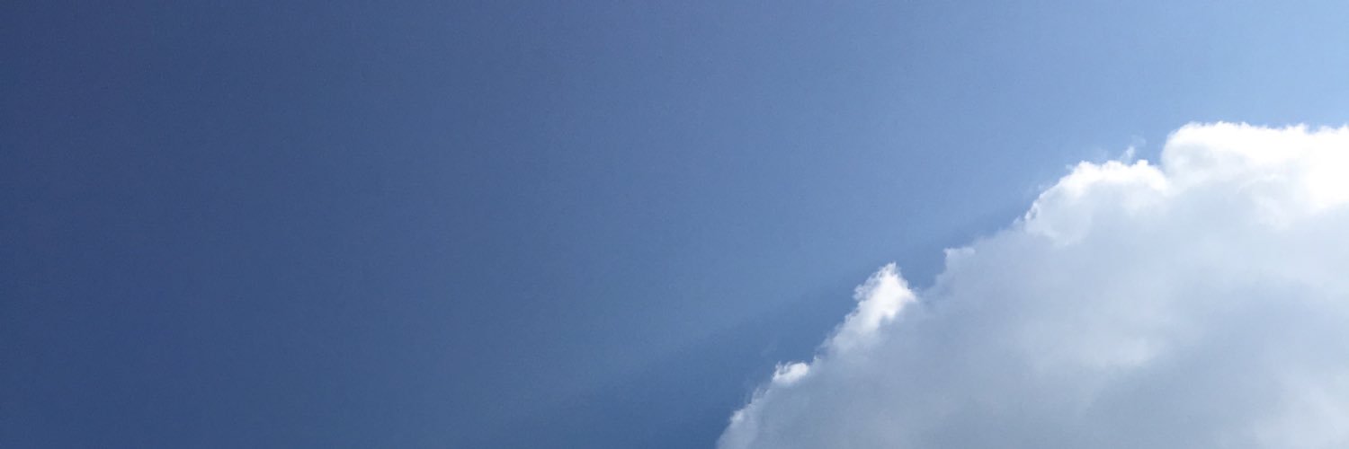applenu's profile banner image